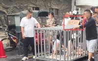 为博流量毫无底线！湖南“将两女子和狗关铁笼游街 ”摆拍事件调查：多人参与直播PK排名靠后接受关笼惩罚被拘留人员已增至9人