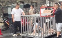湖南女子浸猪笼后续知情人曝猛料组织者被刑拘8人全被控制
